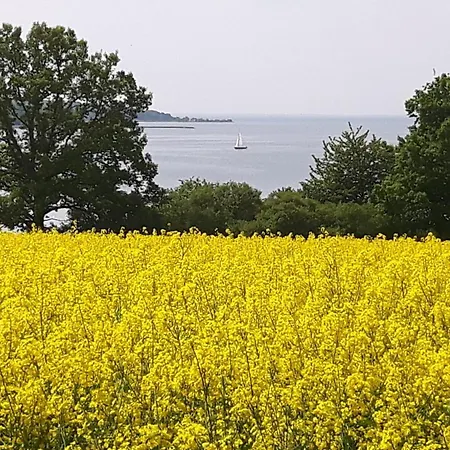 Duenenhaus Mit Meerblick, Schwimmbadnutzung Inklusive Apartmán *