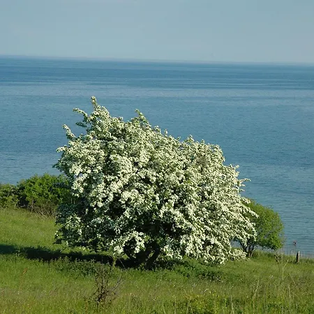 Duenenhaus Mit Meerblick, Schwimmbadnutzung Inklusive Apartmán